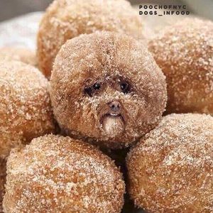 Meet your Posher, Kanixa